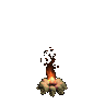 Feu Diablo